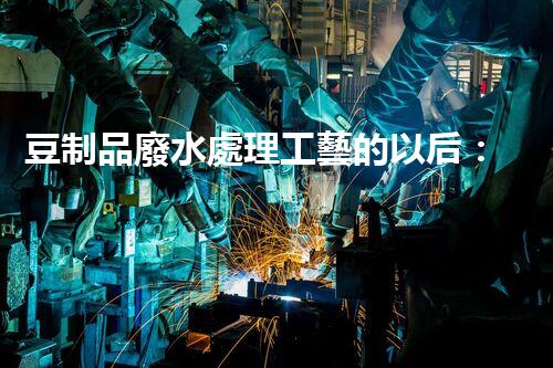 豆制品廢水處理工藝的以后：挑戰(zhàn)與突破？